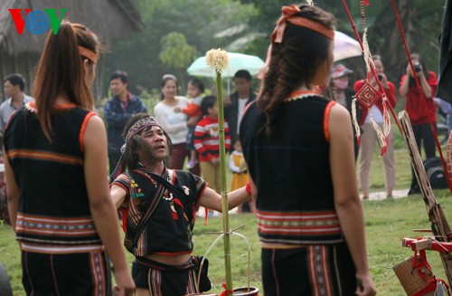 ពិធីបុណ្យបួងសួងសុំឲ្យជនជាតិមានសន្តិសុខនៅទីក្រុងហាណូយ - ảnh 6